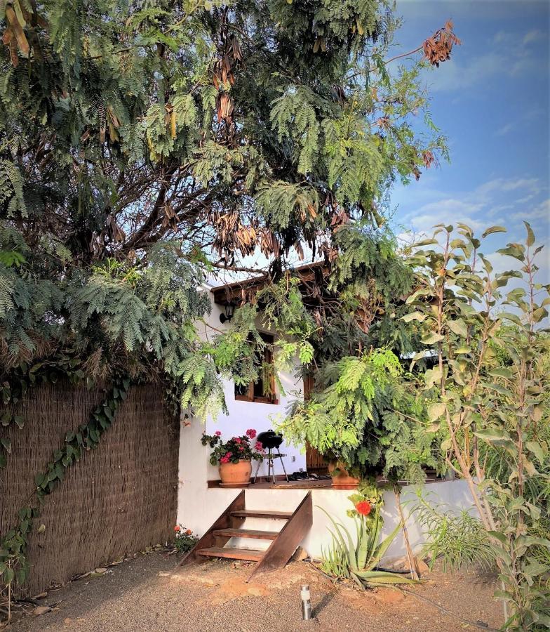 Cabanalanz, Cabanas En Lanzarote San Bartolomé Exteriör bild