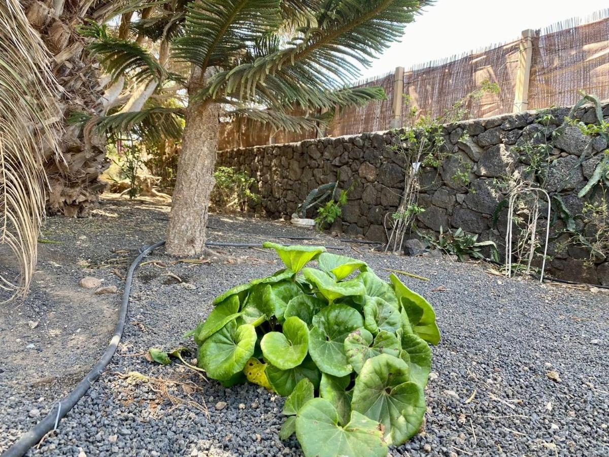 Cabanalanz, Cabanas En Lanzarote San Bartolomé Exteriör bild