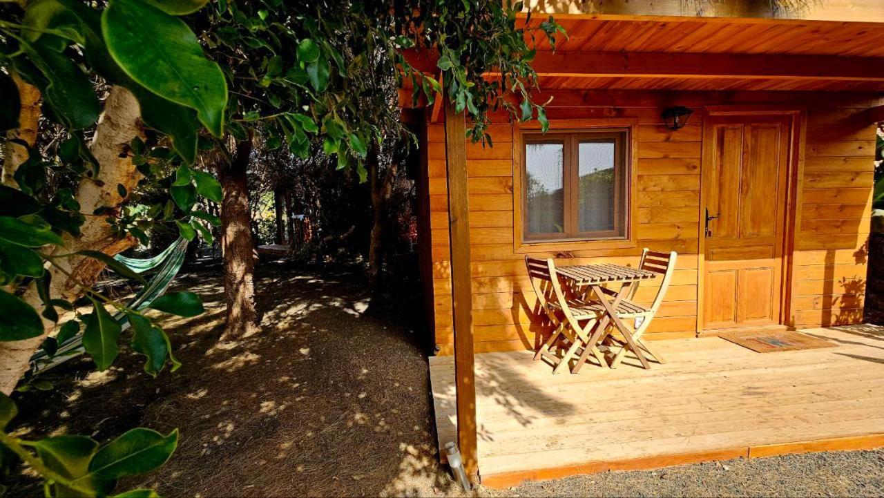 Cabanalanz, Cabanas En Lanzarote San Bartolomé Exteriör bild