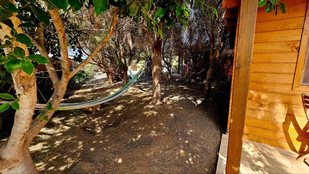 Cabanalanz, Cabanas En Lanzarote San Bartolomé Exteriör bild