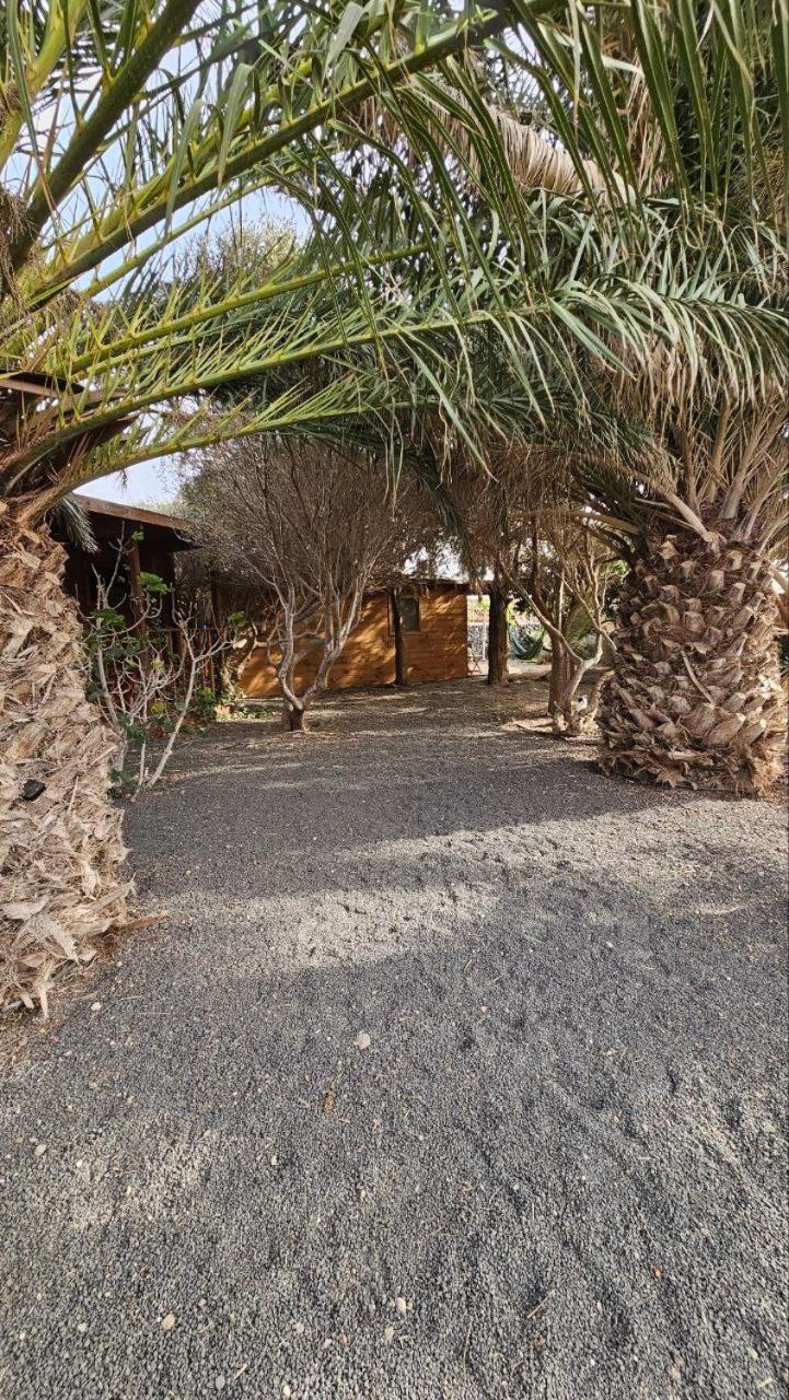 Cabanalanz, Cabanas En Lanzarote San Bartolomé Exteriör bild