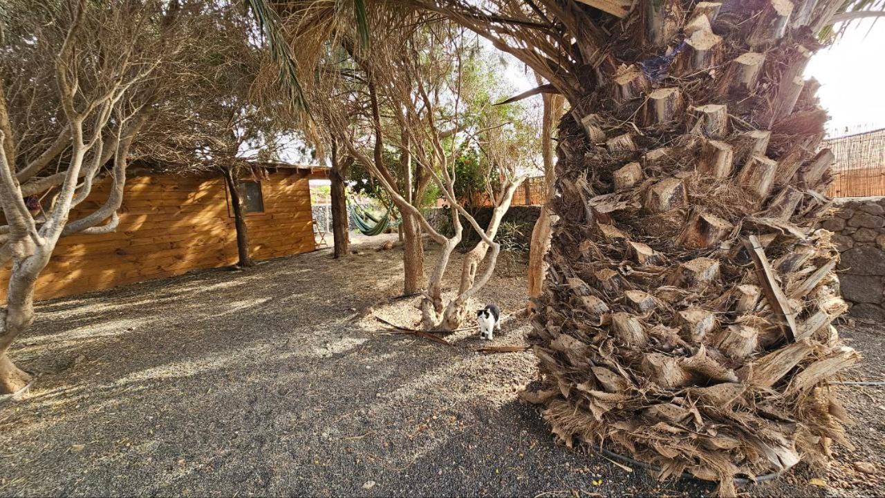 Cabanalanz, Cabanas En Lanzarote San Bartolomé Exteriör bild